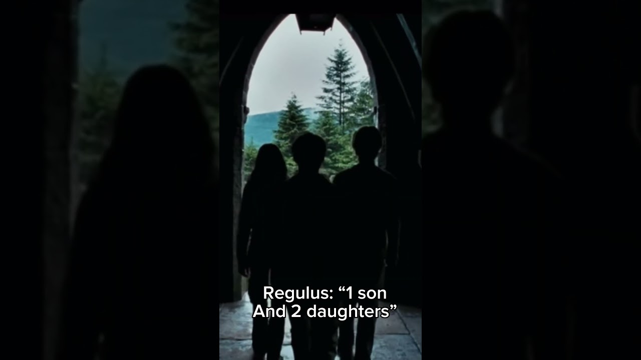Your kids asked how you and Reggy met|| regulus black X y/n|| #harrypotter #hogwarts #regulusblack