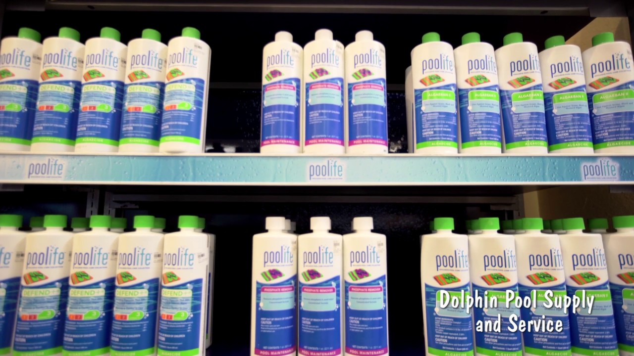Welcome to Our Showroom, Dolphin Pool Supply and Service