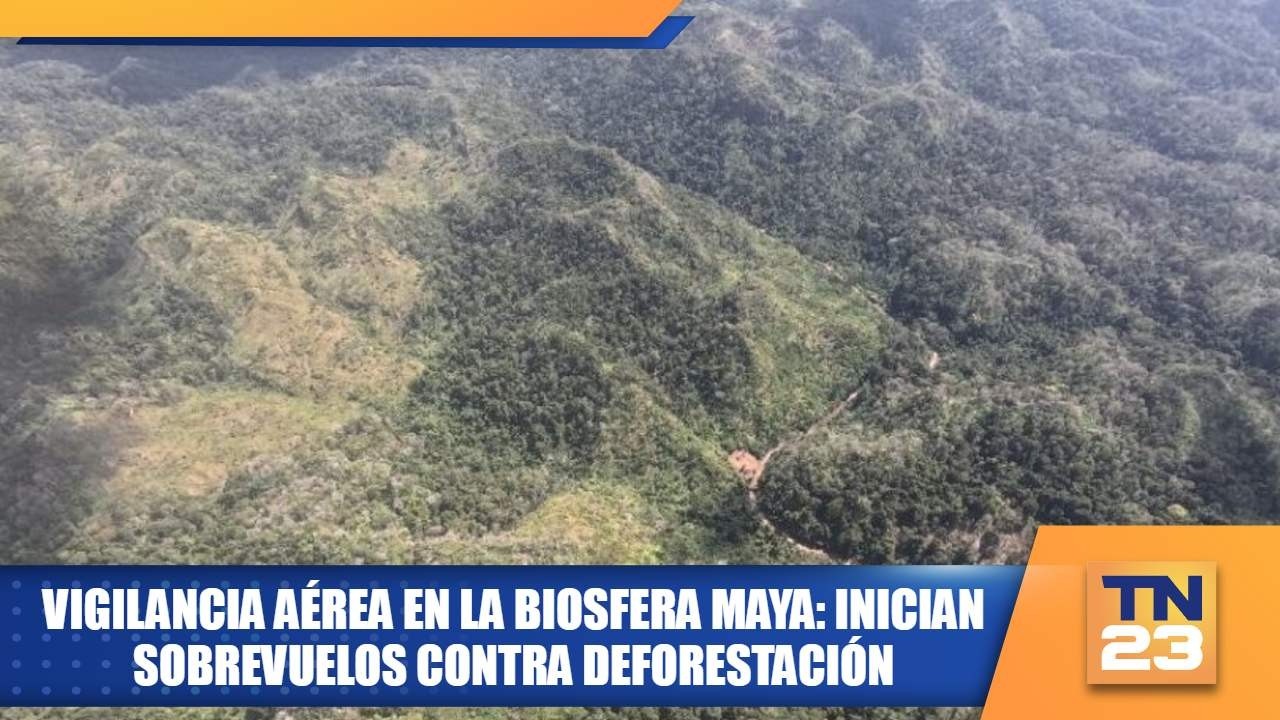 Vigilancia aérea en la biosfera Maya: inician sobrevuelos contra deforestación