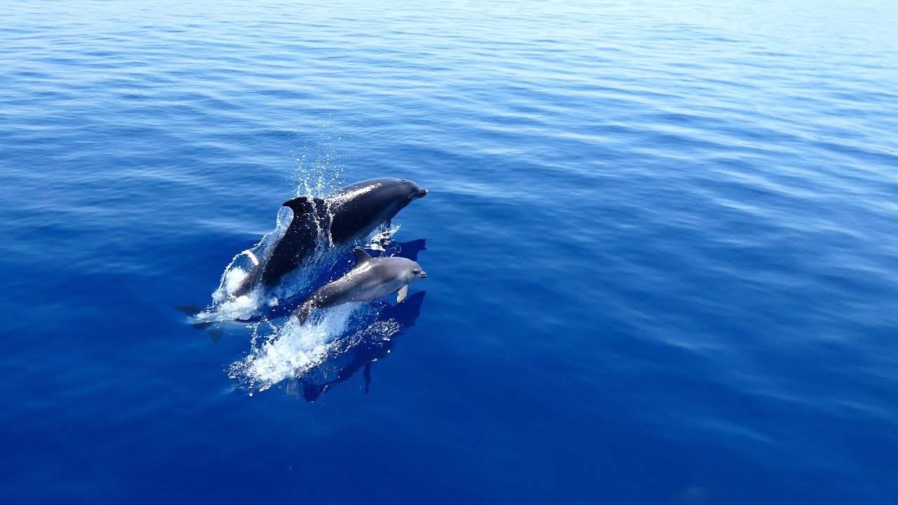 Once in a lifetime trip to Greece!