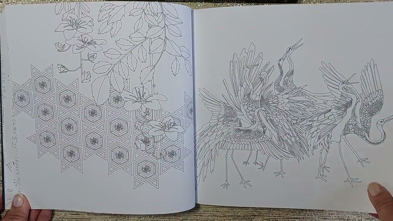Présentation - Coloriage du livre Songes D'orient d' Inès Carratié