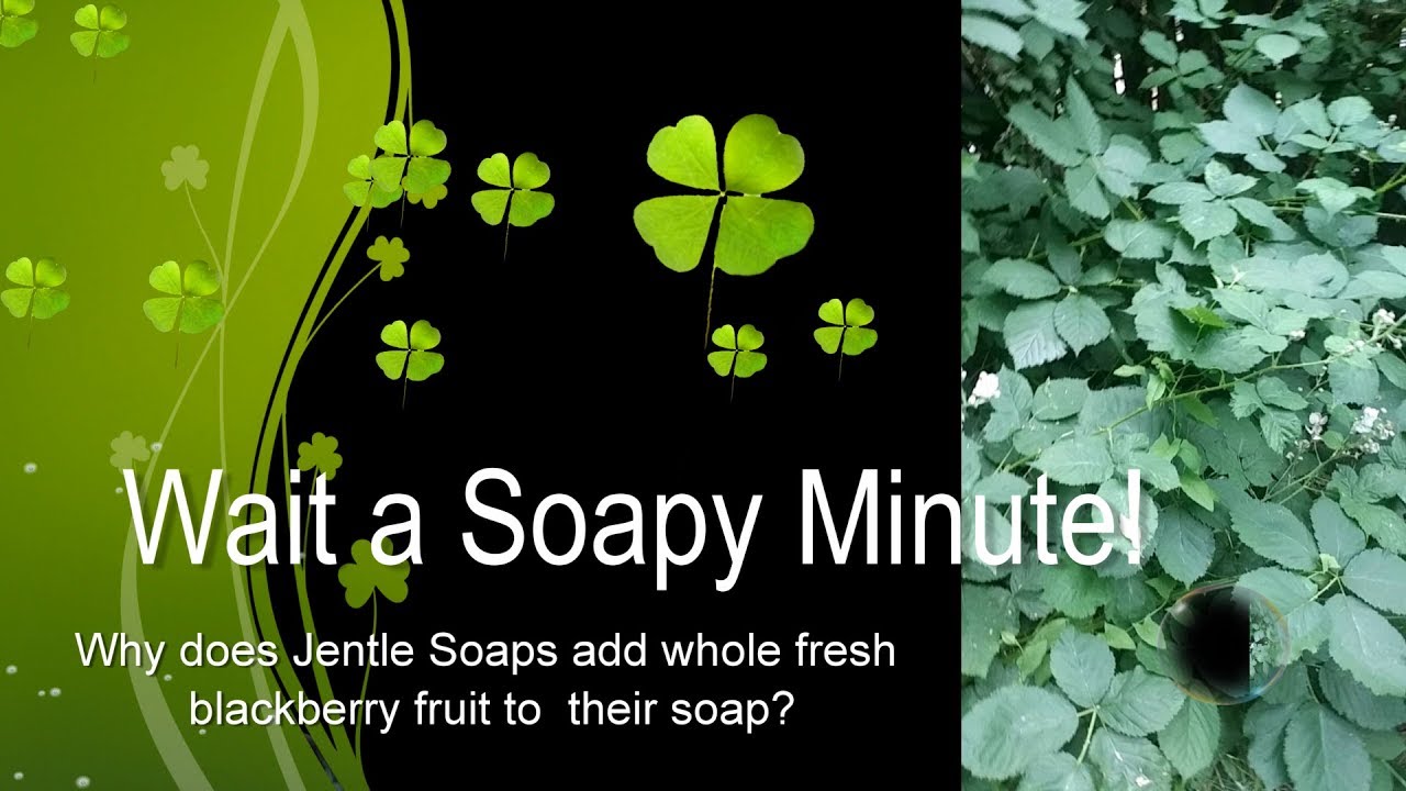 Wait a Soapy Minute! Why add Fresh Blackberry Fruit to soap?