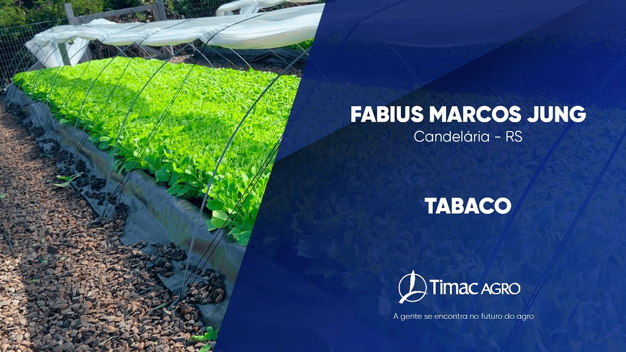 Depoimento Produtor - Fabius Marcos Jung - Candelária/RS (Fertiactyl GZ)