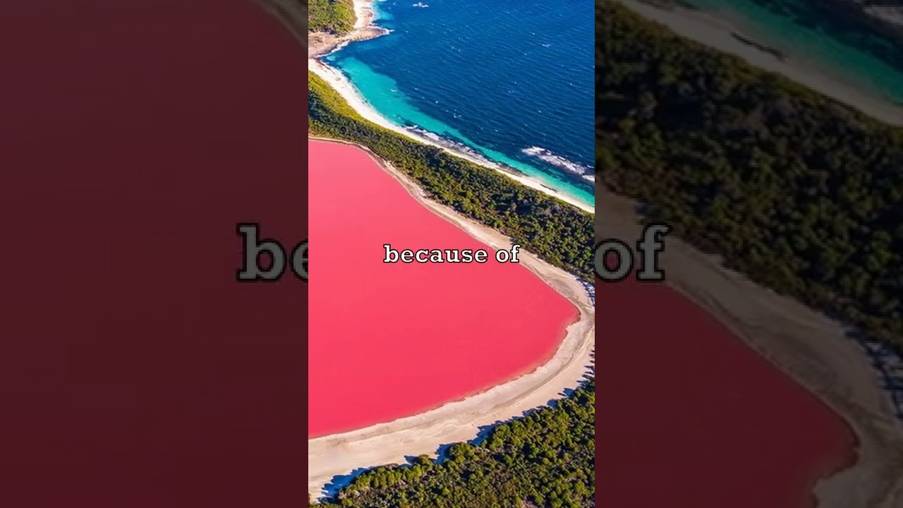 The Pink Lake 🏊