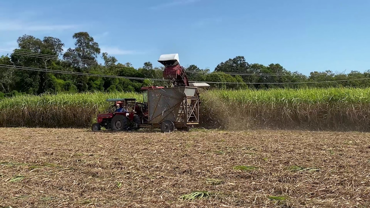 Sugarcane Ground Preparation & Planting