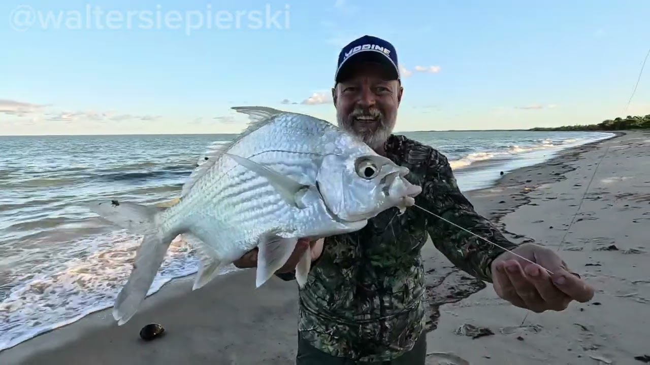 VEJAM 👀 MAIS UMA PESCARIA DE PRAIA COM VÁRIOS PEIXES 🎣🐟🐡🏝️