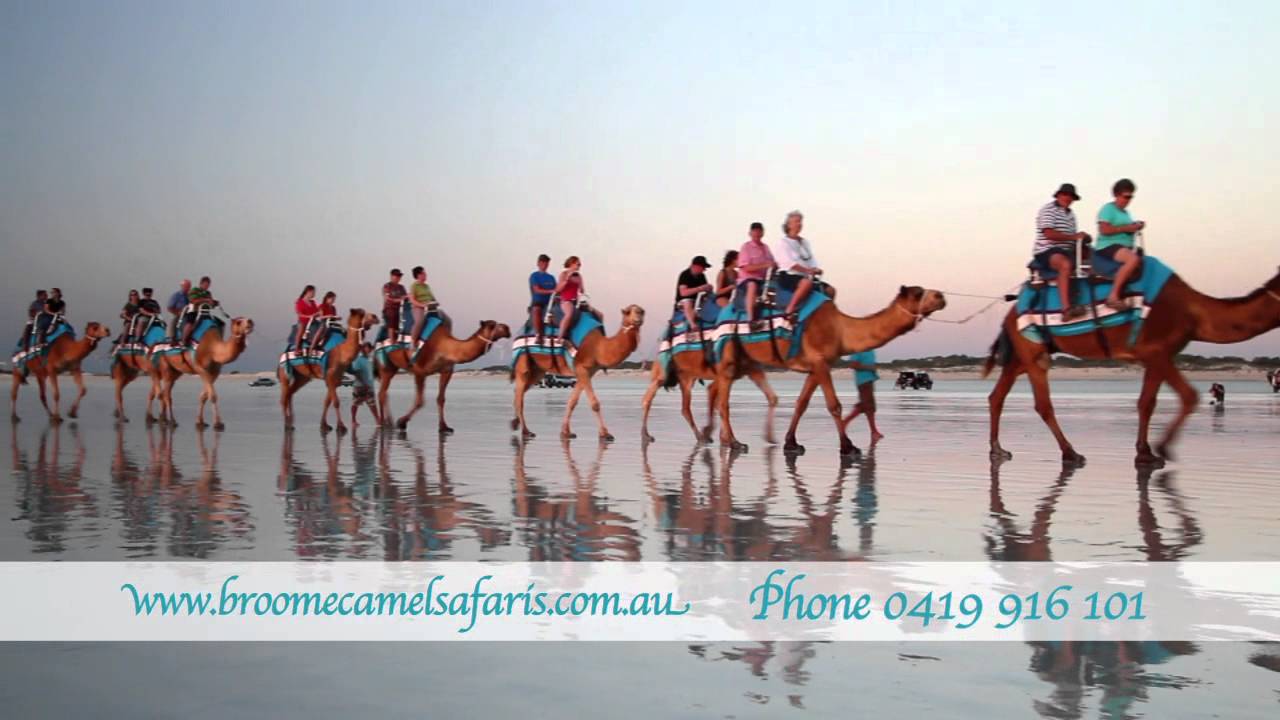 Broome Camel Safaris 15sec