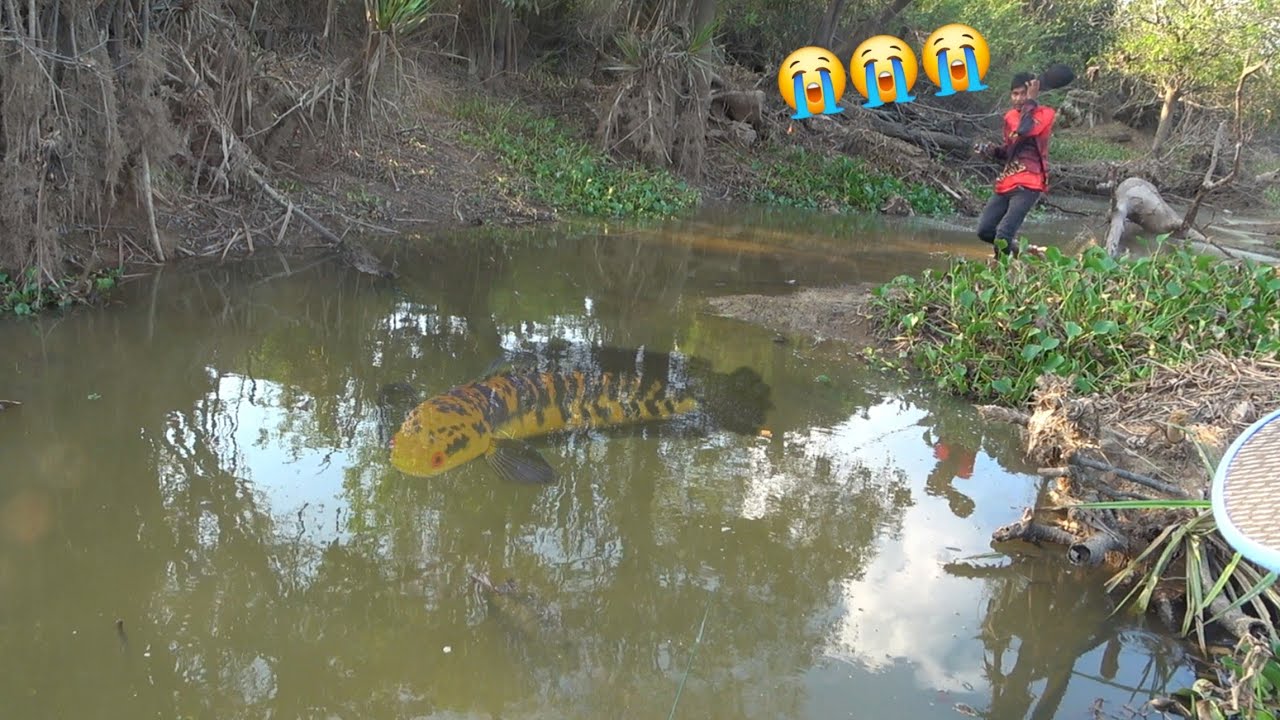 JACKPOT SULTAN !!! AKHIRNYA BAPAK INI MENEMUKAN PERSEMBUNYIAN IKAN CANTIK & MENANGIS 😭🤣