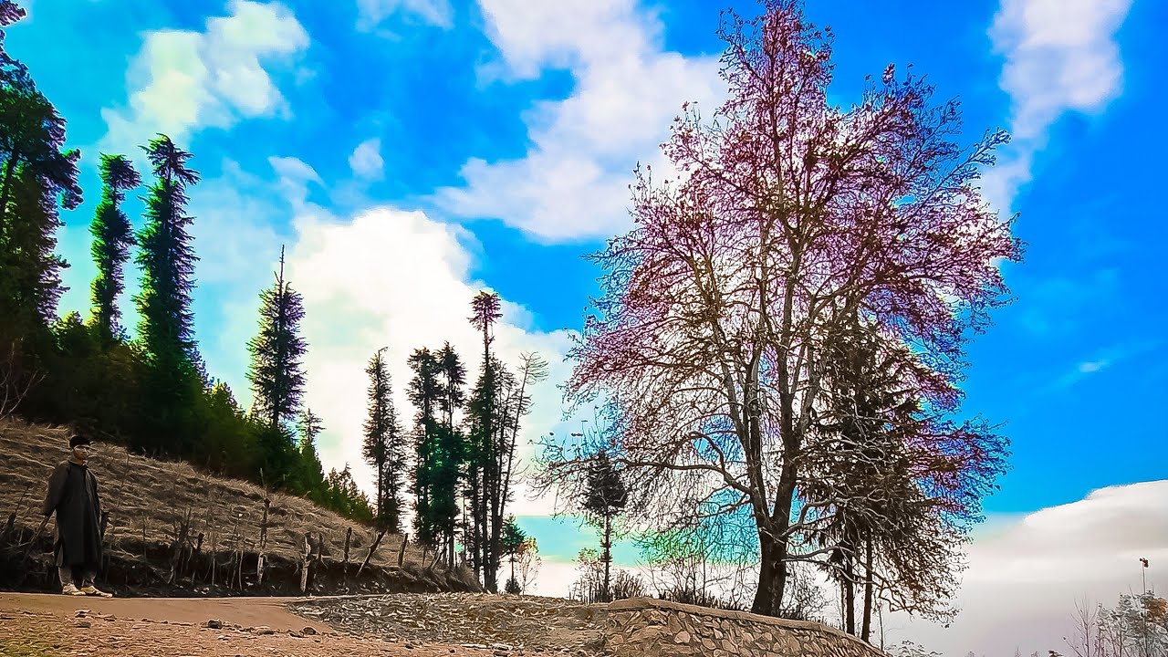 Beauty of kashmir Tangmulla to Pazalpora view