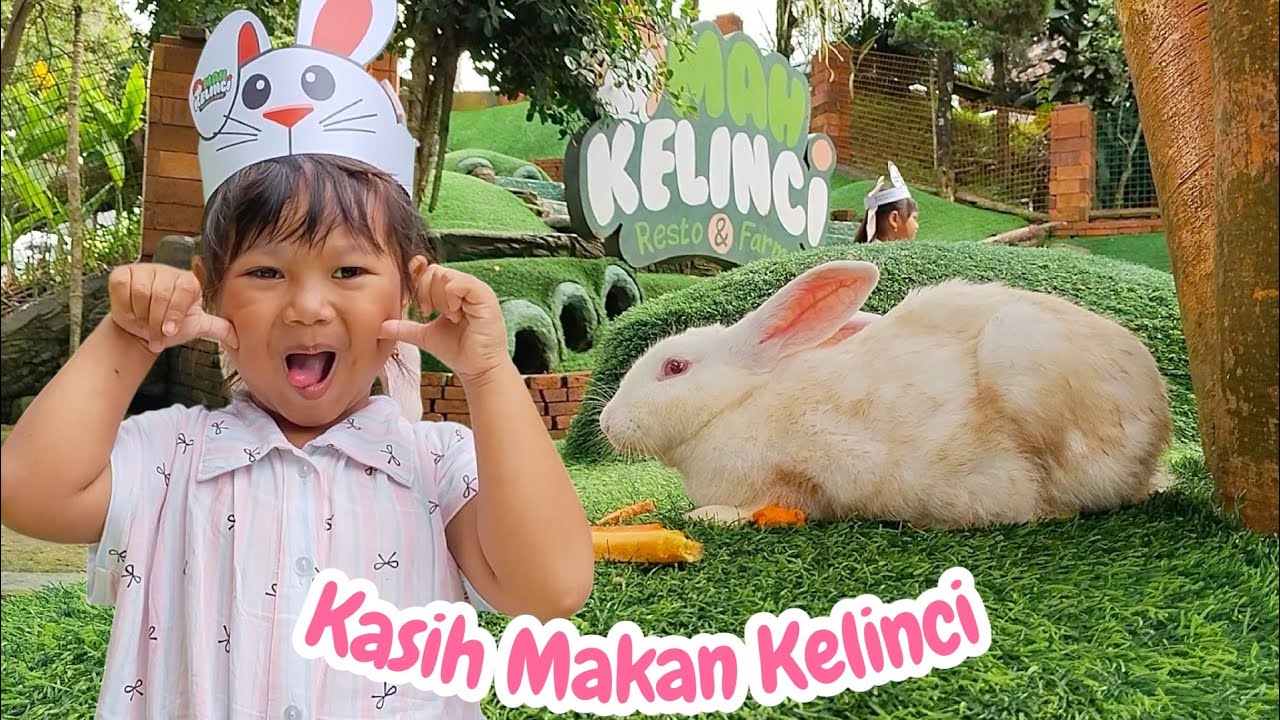 SHELLIN KASIH MAKAN KELINCI LUCU || MENGENAL BINATANG 