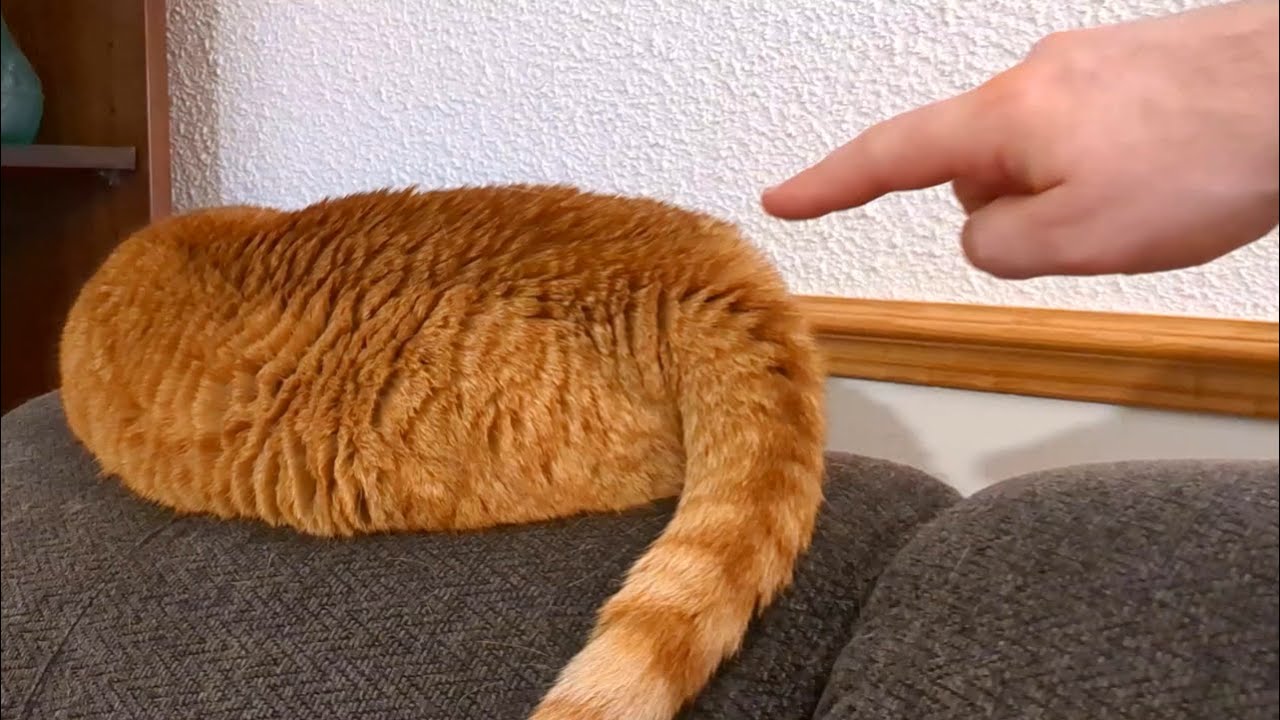 Push the 