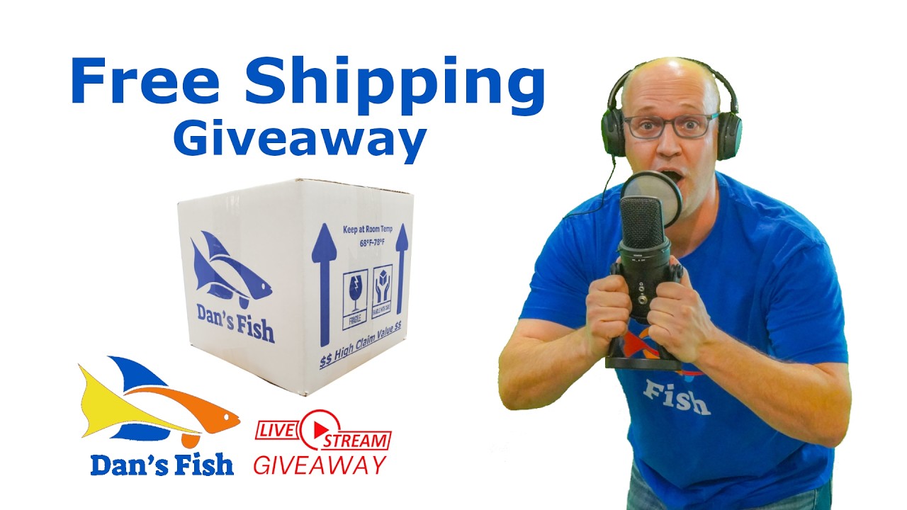 Ep578 Free Shipping  GIVEAWAY