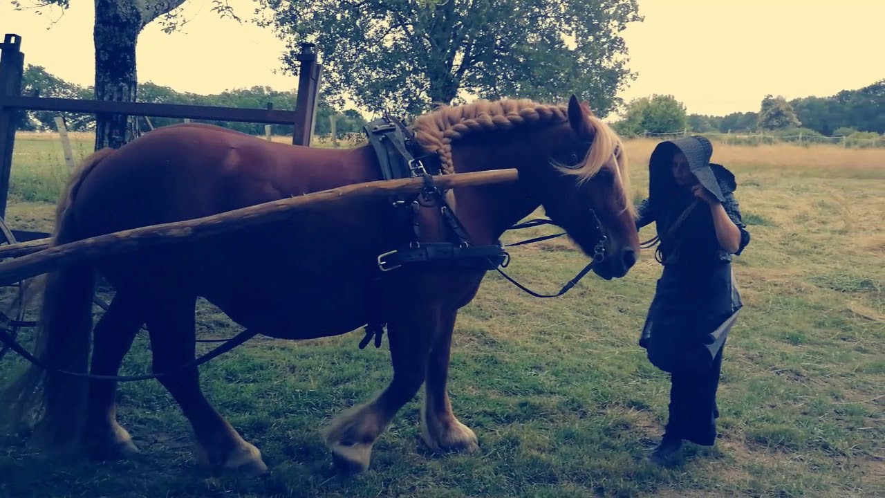 fauche a l'ancienne et faneuse a cheval