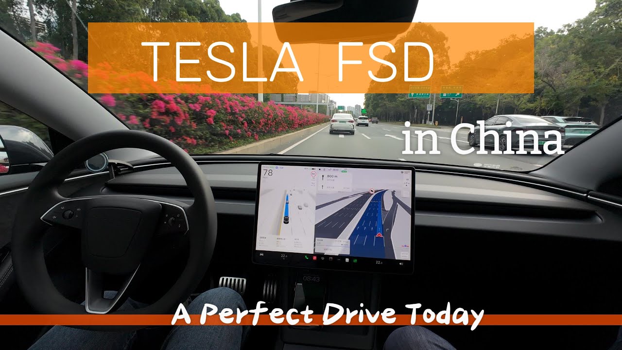 Tesla FSD Real-World Driving in China | A Perfect Drive Today!