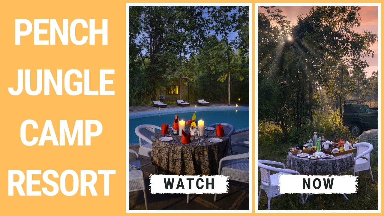 Pench Jungle Camp Resort 🐅 | Luxury Jungle Stay Near Pench National Park
