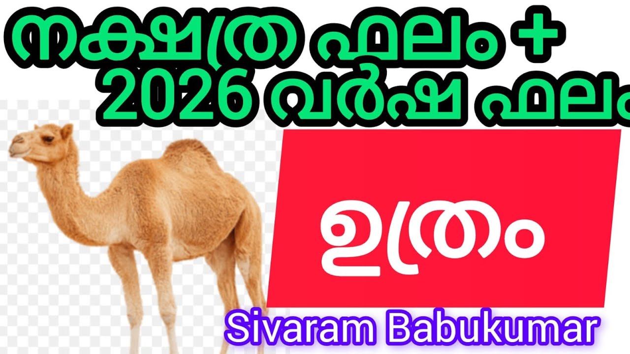 ഉത്രം - കീർത്തിയും, സമ്പത്തും ഭാഗ്യവും കാത്തിരിക്കുന്നു.