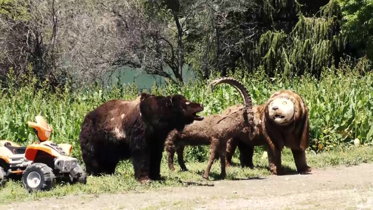 KYRGYZSTÁN - Cestopisný dokument z fotografické expedice