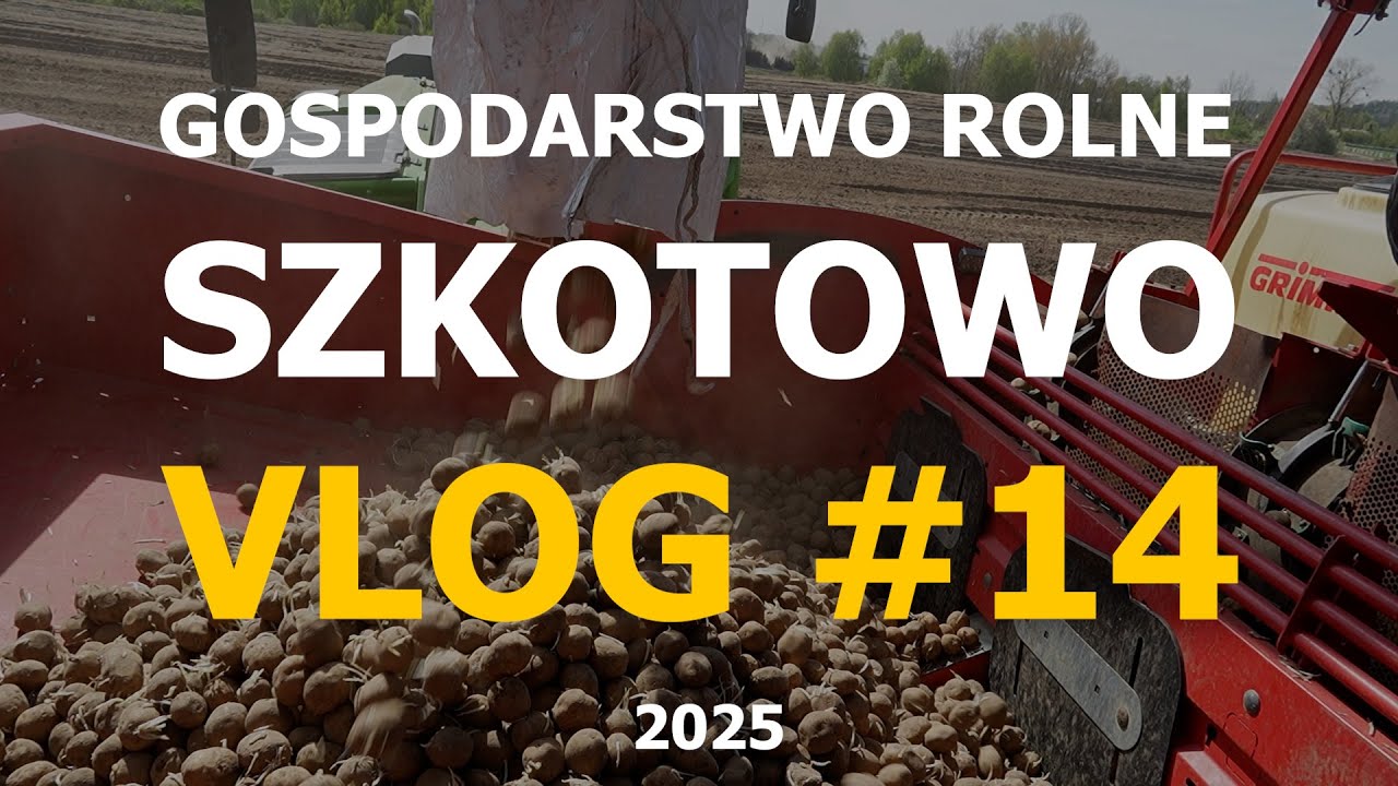 Wszystkie ciągniki na pole!🚜 Sadzimy ziemniaki! // VLOG#14 GR🥔Szkotowo
