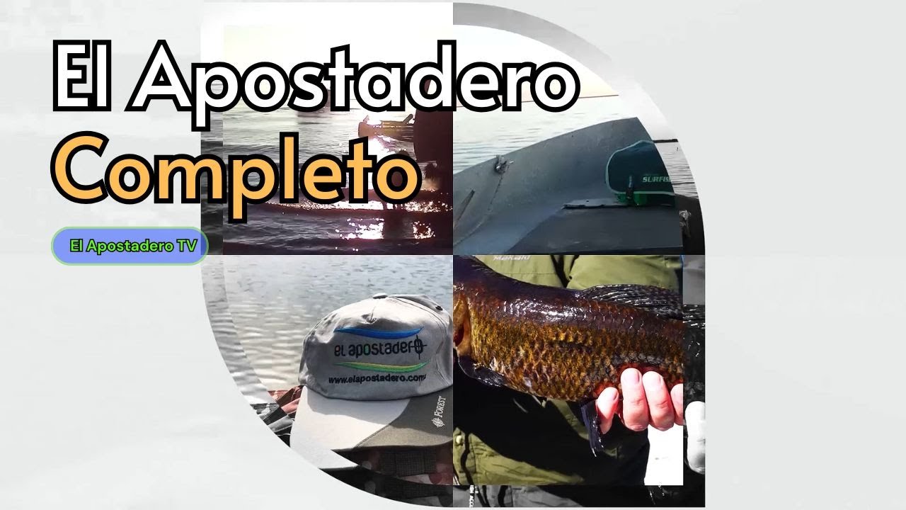 El Apostadero 1293