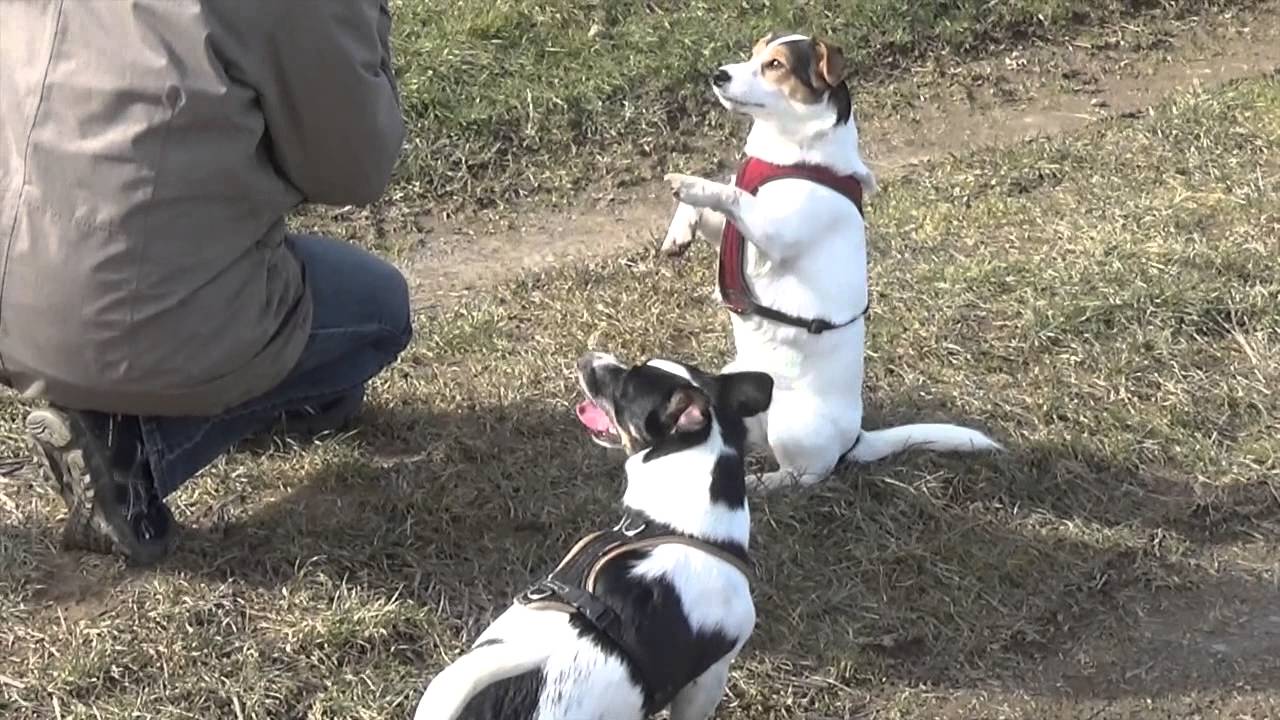 Der Frühling ist da!!!