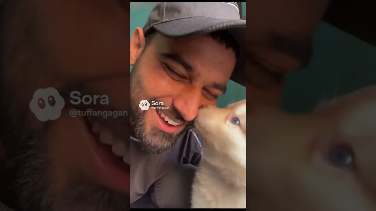 Leo the loving dog 