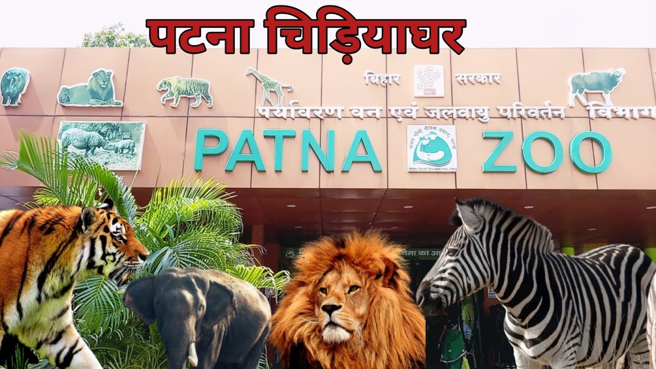 Patna Zoo | Sanjay Gandhi Biological Park Patna | पटना चिड़ियाघर | Zoo Vlog | Tourist Place In Patna