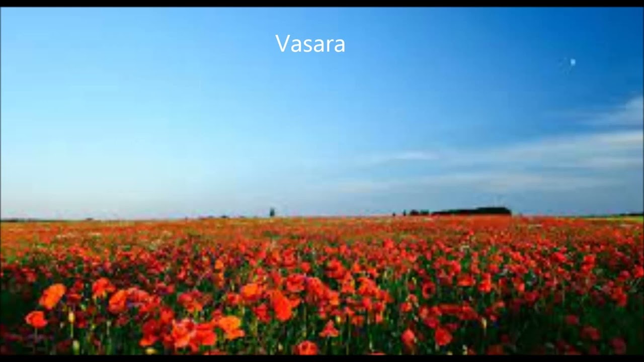 Vasara.