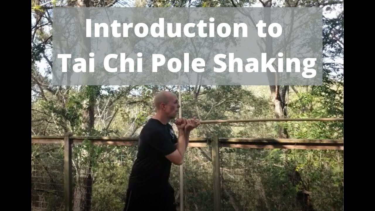 An Introduction to Tai Chi Pole Shaking