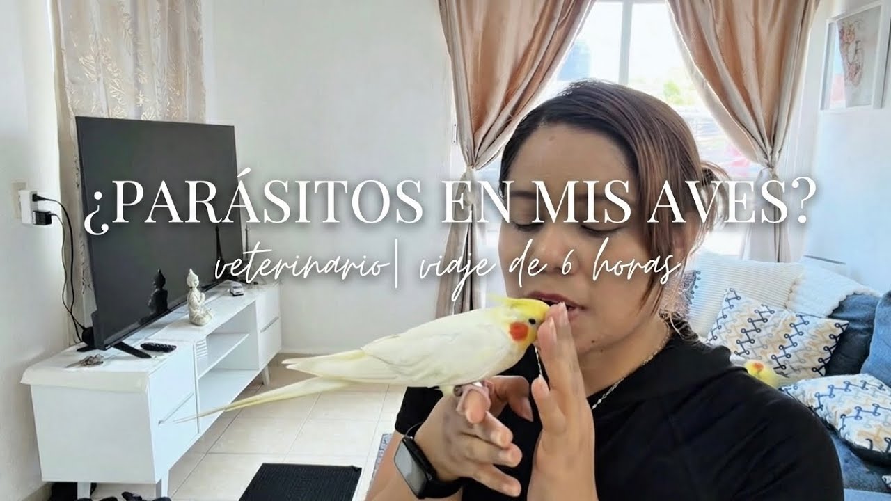 San Valentín Inesperado: 6 Horas de Carretera por la Salud de mis Ninfas en Mérida 🩺