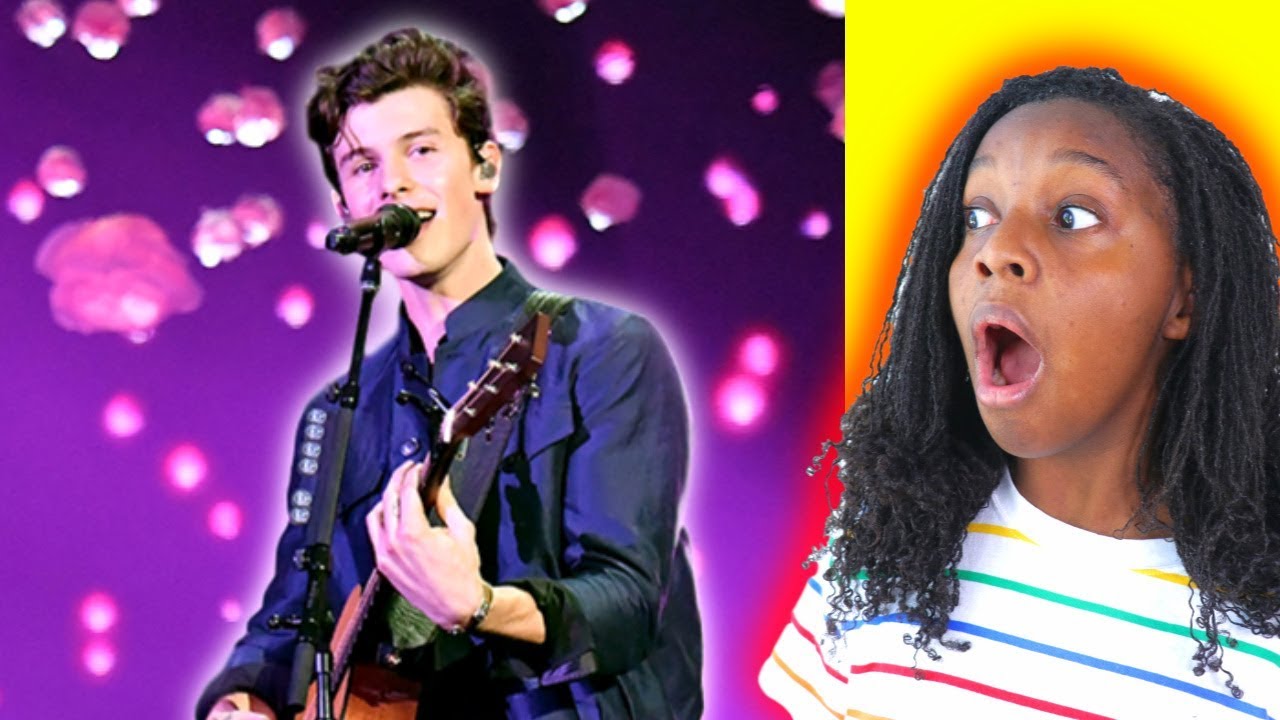 WE WENT TO A SHAWN MENDES CONCERT (So Excited!) - Onyx Life