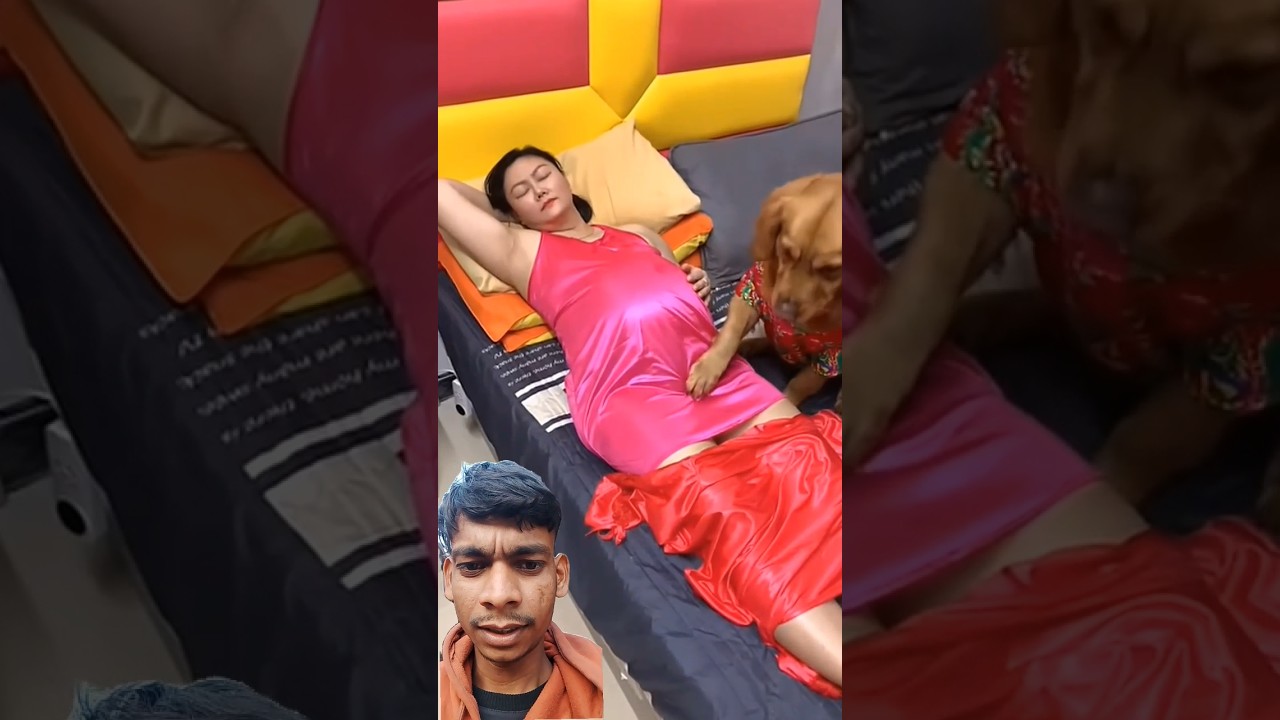 dog is very bad 😭