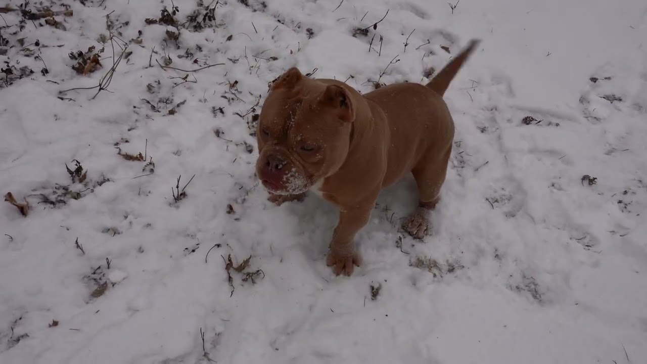  We finally got snow ⛄️ 