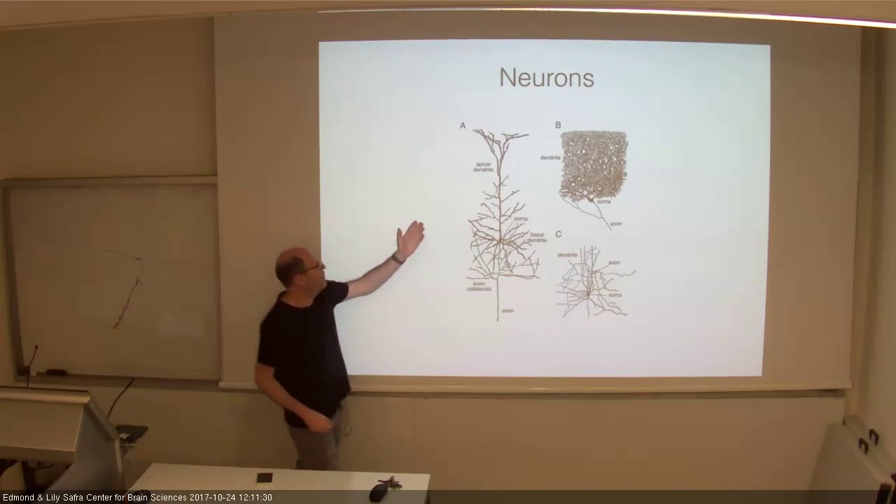 THEORETICAL AND COMPUTATIONAL NEUROSCIENCE B   24102017