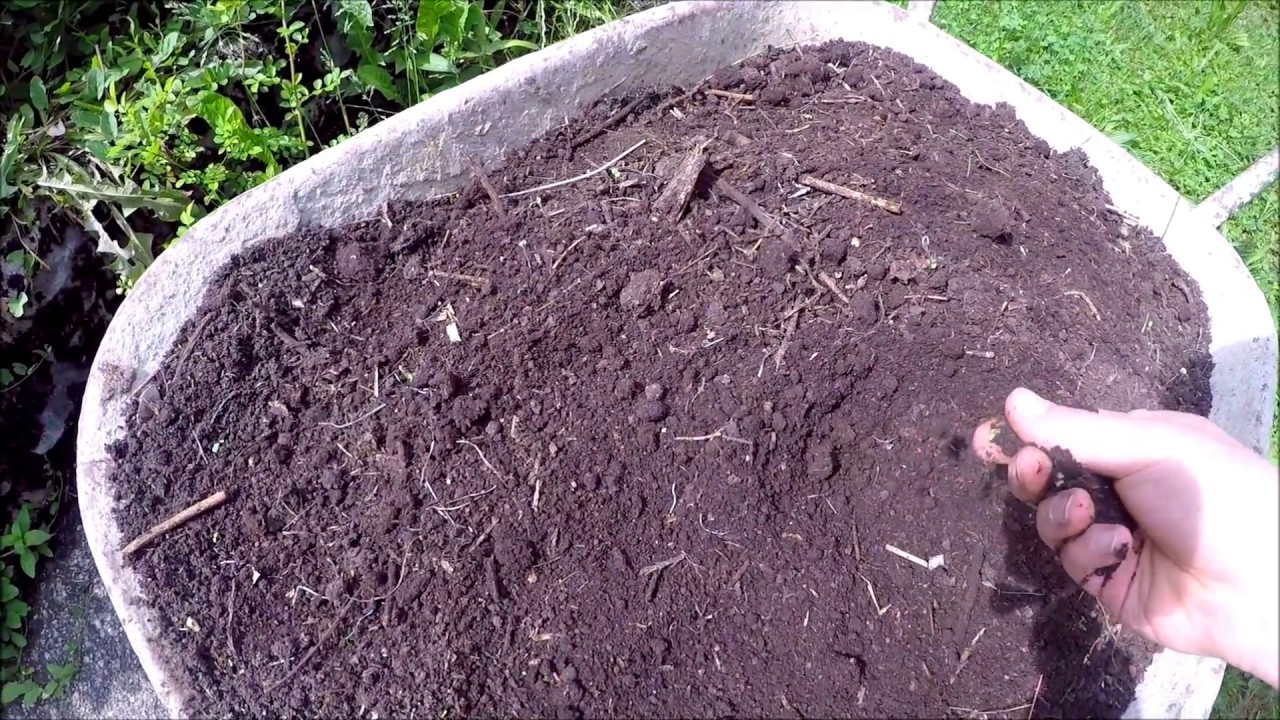 Gartenvlog # 7 / Erde sieben