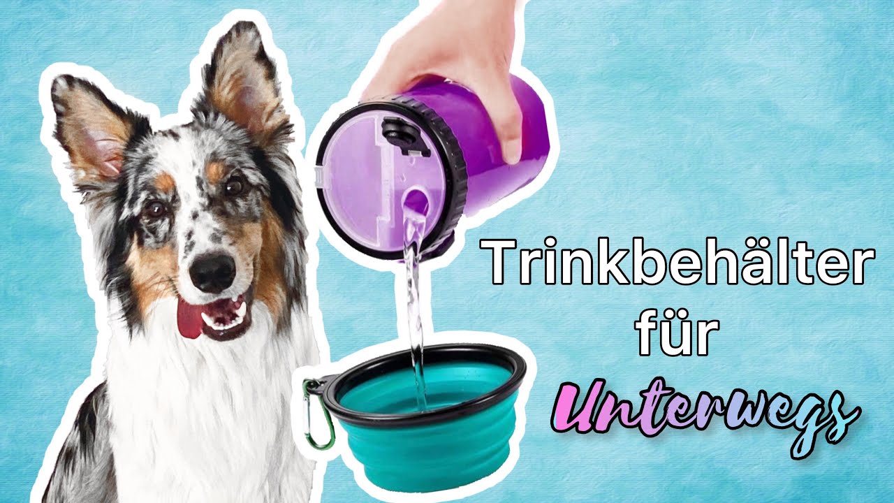 Trinkbehälter | Trinkflasche für den Hund