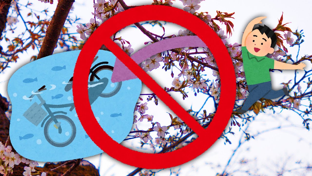 How to properly throw away your oversized garbage in Japan