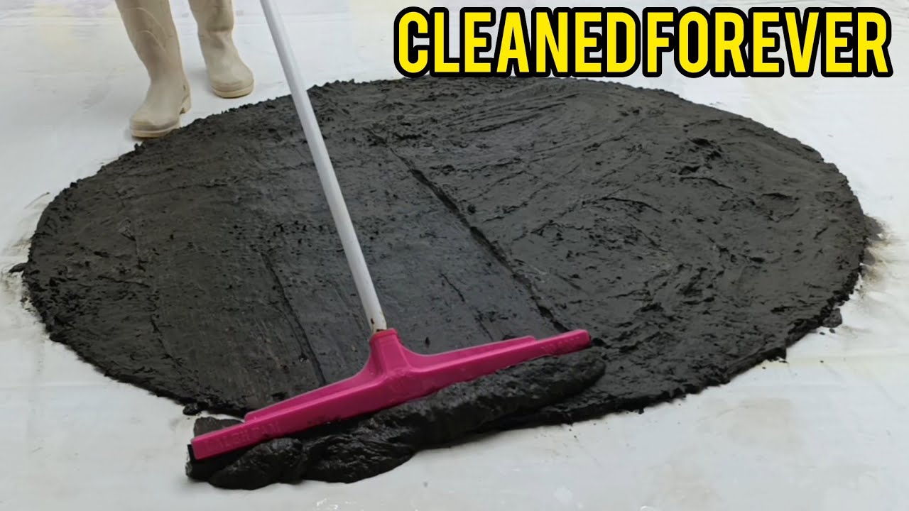 What Happens When You Use ASMR To Clean The Dirtiest Rug In The World?