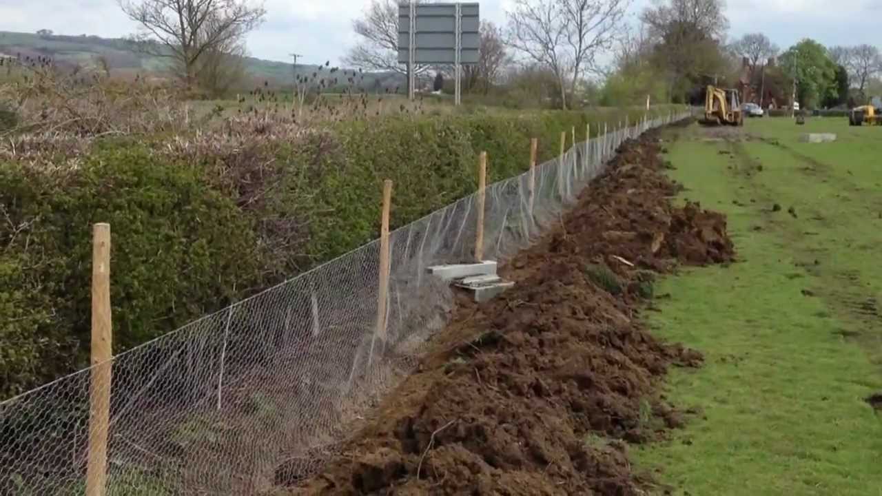 Stopping the Rabbits in Their Tracks