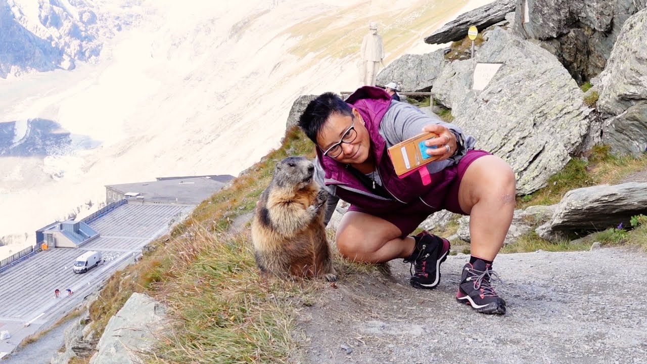 Murmeltiere Selfie am Großglockner 😂