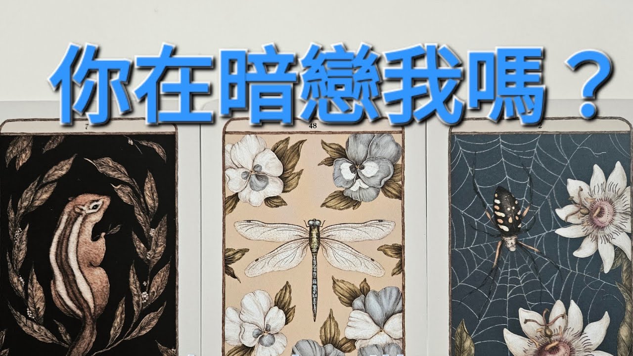 〔娜栗占星塔羅〕有人在偷偷暗戀我嗎？🥰🥰🥰😘😘😘，他的下一步？無時間限制，時間軸在留言區