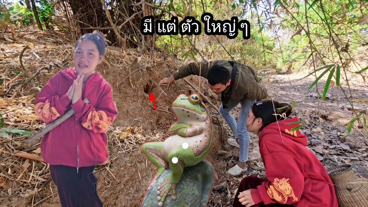 เสียงดังกลางห้วยน้องน้อย​ผ่าจับเขียด​ 1 กุมภาพันธ์ ค.ศ. 2026