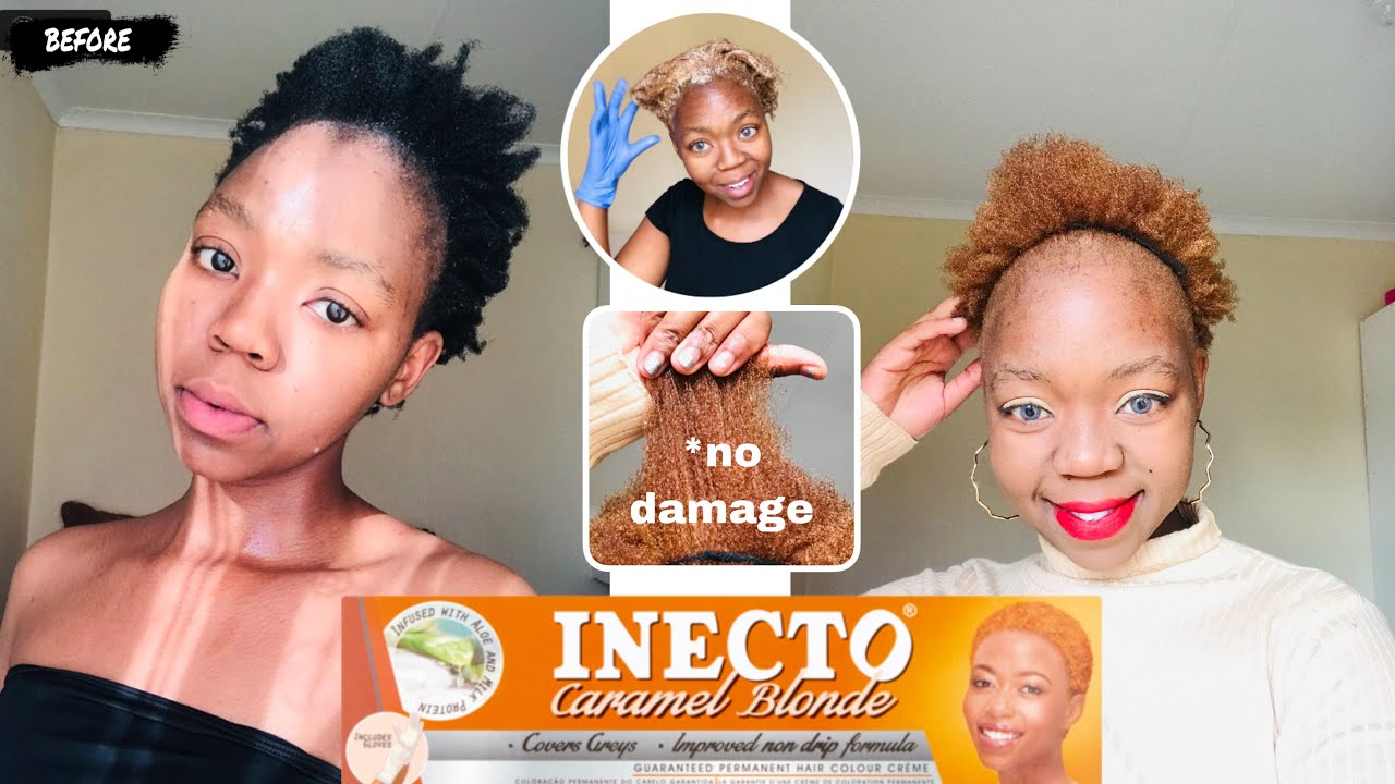 How to dye your hair blonde at home ft INECTO hair dye ( no damage, no bleach)