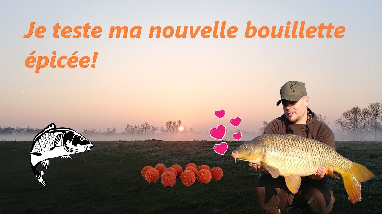 Pêche de la carpe avec mes bouillettes épicées!!