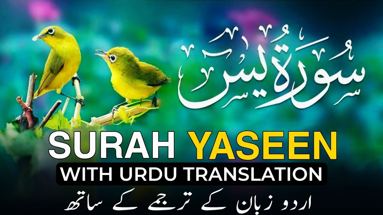 Surah Yasin (Yaseen) with Urdu Translation | Quran Tilawat Beautiful Voice | Hindi Tarjuma Ep 108