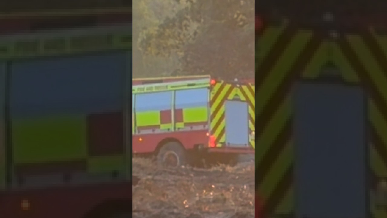 New Forest wildfire update - Saturday 15 Aug 26