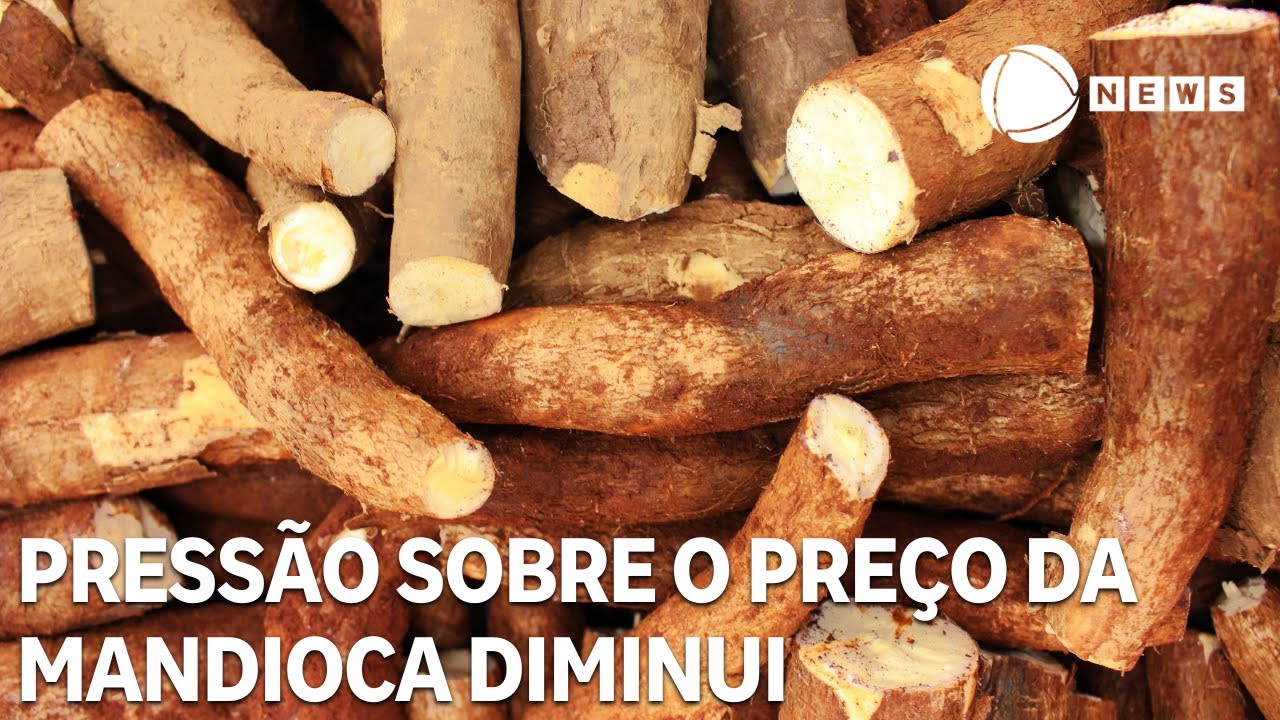 Equilíbrio entre oferta e procura diminui a pressão sobre o preço da mandioca