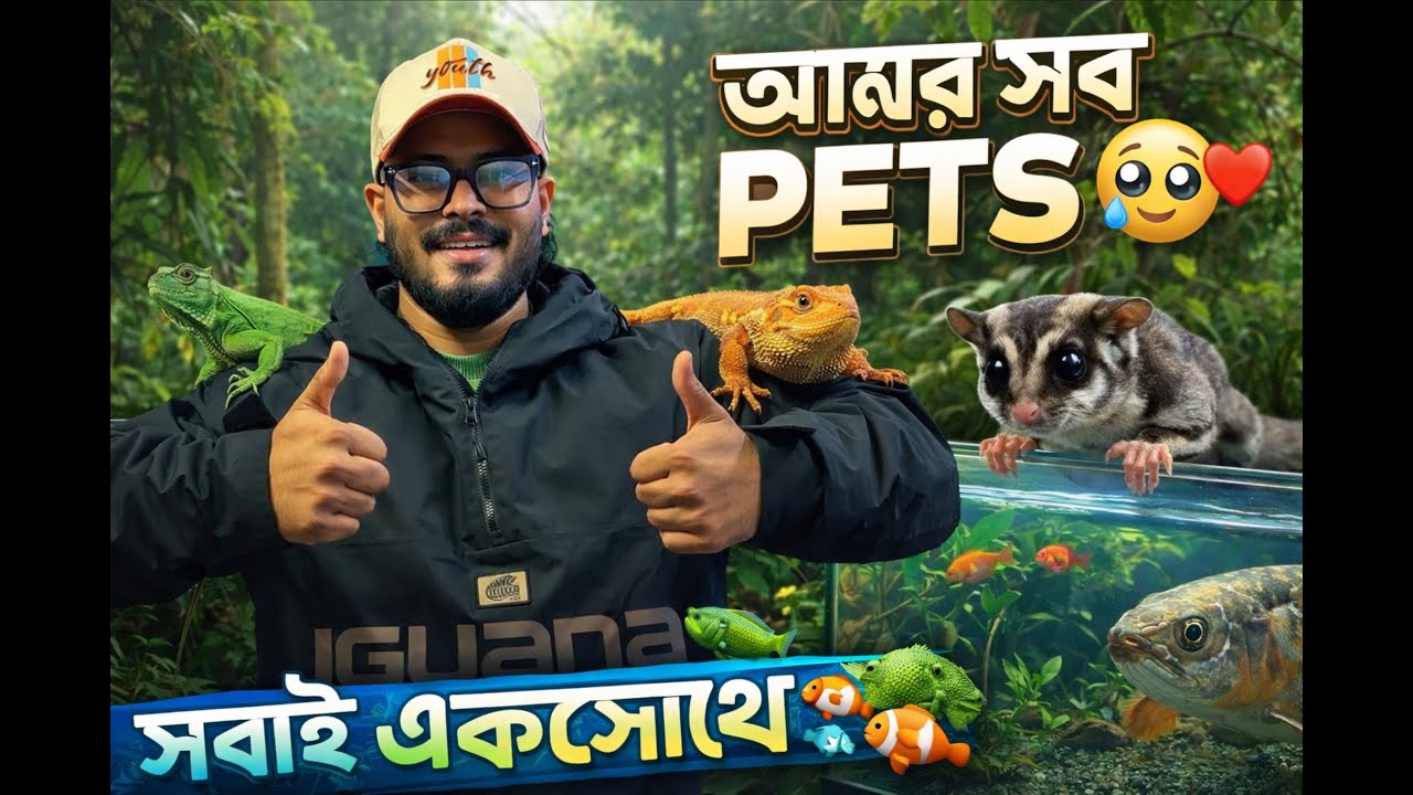 ২০২৫ সালের শেষ ভিডিও | আমার সব পেটস & এনিম্যালস ফুল আপডেট 🦎🐟❤️#pets #animals #viralvideo 