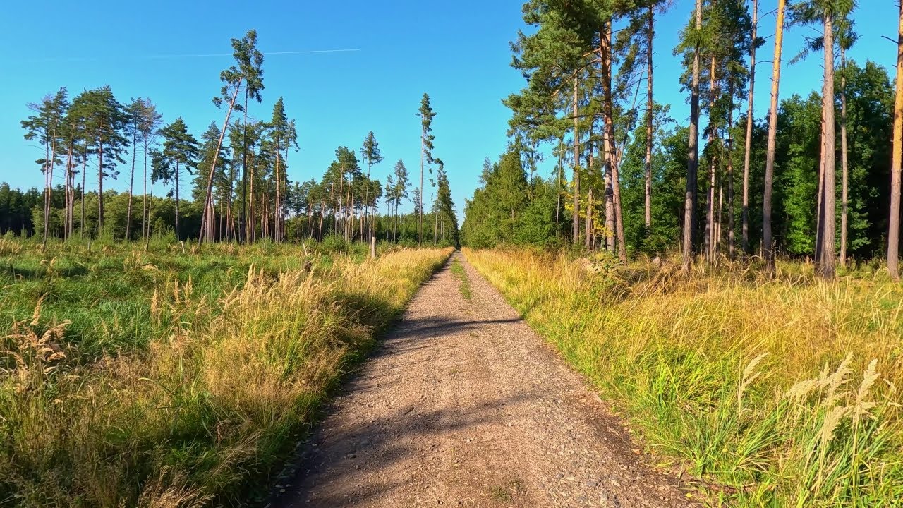 Hiking in Czechia 🟨 Kysibl – Fabiánka | Highlands • 4K HDR