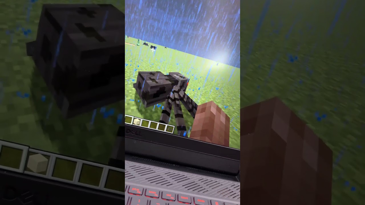 i ordered icecream from MINECRAFT ! 