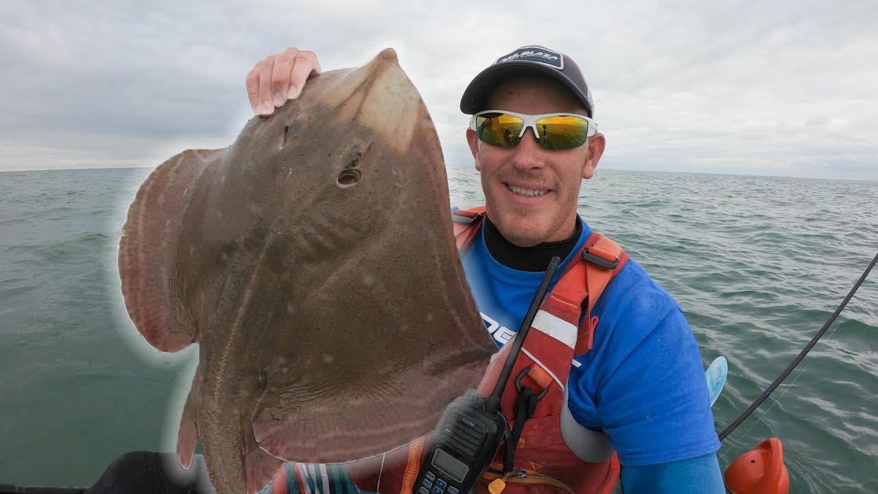 Epic Ray Action - Small Eyed Ray - Selsey - Kayak Fishing - How to catch Rays
